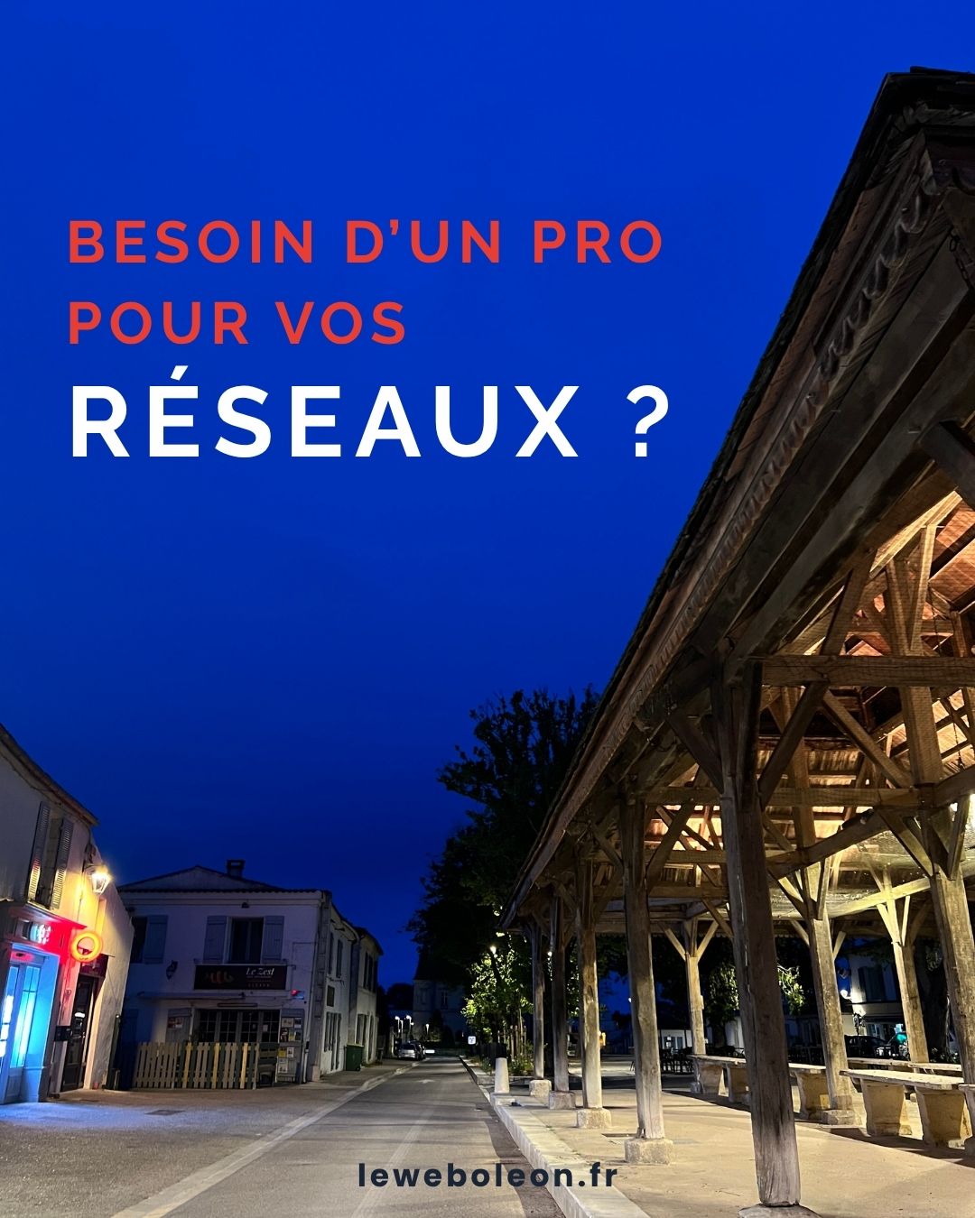 Un pro pour vos réseaux sociaux ? Le Web Ø'Léon